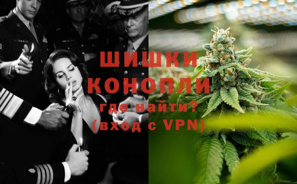 PSILOCYBIN Баксан