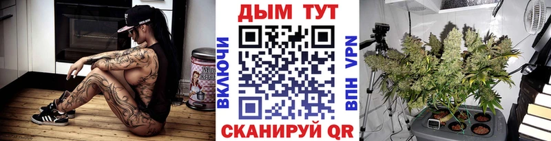 Каннабис Amnesia  Купить  Нововоронеж 